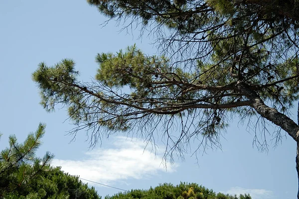 Vista Del Cielo — Foto de Stock