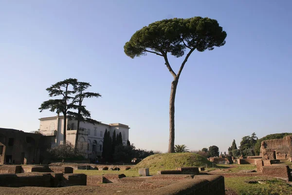 Palatinum Forum Romanum — Stockfoto