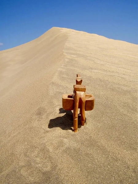 Vista Panorámica Las Dunas Enfoque Selectivo — Foto de Stock