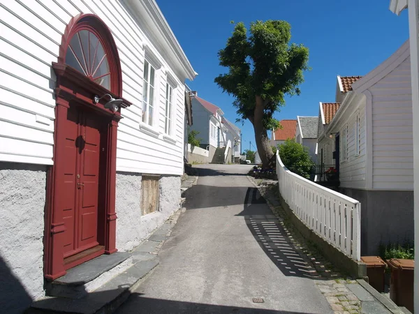 Середине Лета Город Skedeneshavn Многочисленными Маленькими Большими Старыми Деревянными Домами — стоковое фото