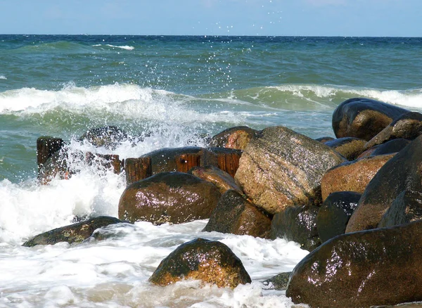 海洋海岸线 夏季自然 — 图库照片