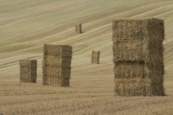 Vista Panoramica Dell Agricoltura Campagna — Foto Stock