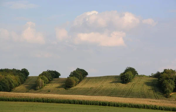 Champ Rural Terres Agricoles — Photo