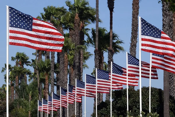 Usa Flags Street Palms — Stock Photo, Image