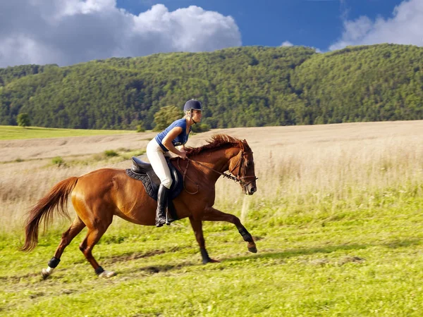 Domingo Tarde Horseride — Fotografia de Stock