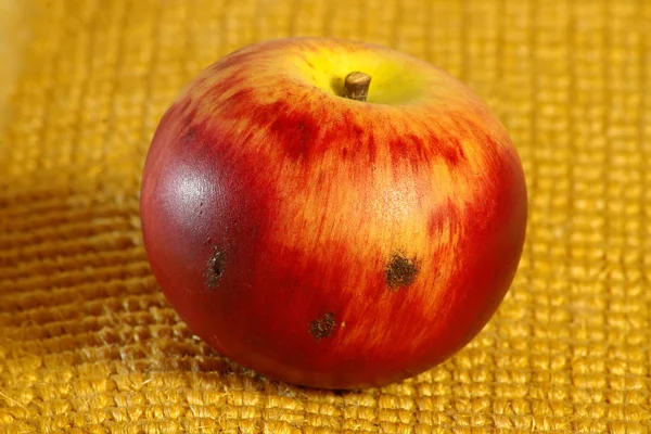 Obst Gesund Gesundheit Ernährung Vegetarier Apfel Früchte Obst Diät Abnehmen — Stockfoto