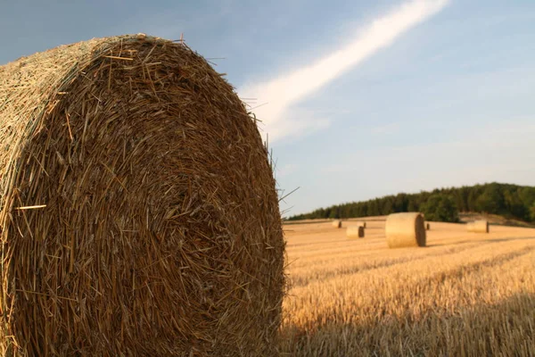 Aussichtsreicher Blick Auf Die Landwirtschaft Auf Dem Land — Stockfoto