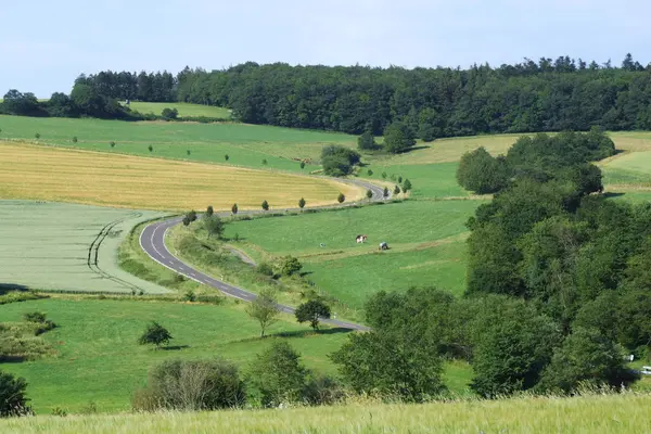 Vacker Utsikt Över Naturen — Stockfoto