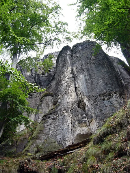 Krásný Výhled Přírodu — Stock fotografie