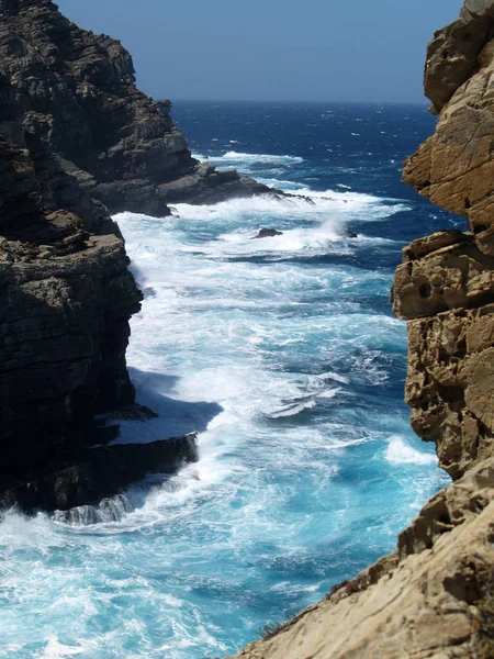 Vista Panorámica Hermoso Halcón Naturaleza — Foto de Stock