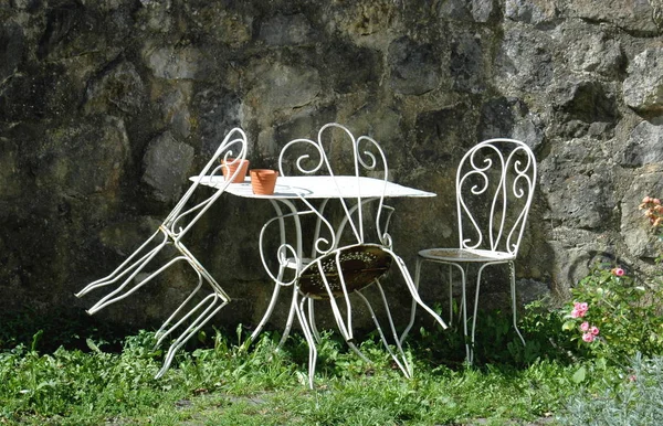 Une Chaise Bois Avec Une Fleur Sur Herbe — Photo
