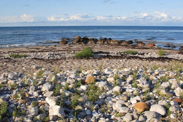 在波罗的海的石滩上 — 图库照片