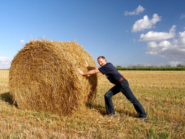 Country Life Selective Focus — Stock Photo, Image