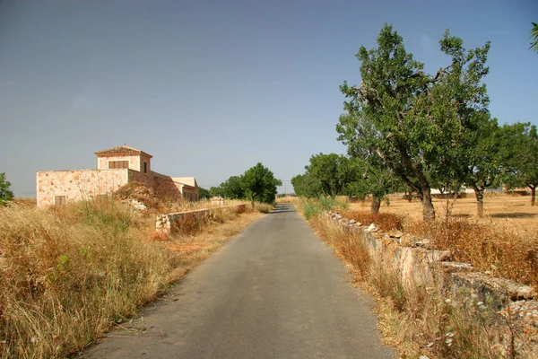 Majorque Majorque Est Une Des Îles Baléares Espagne Méditerranée — Photo