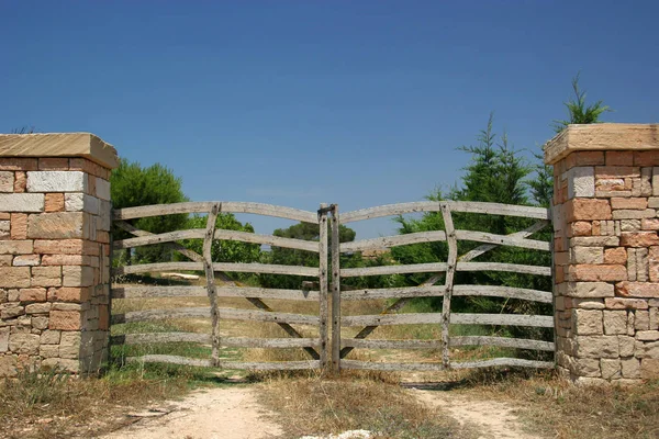 Portões Madeira Fazenda Ensolarada — Fotografia de Stock
