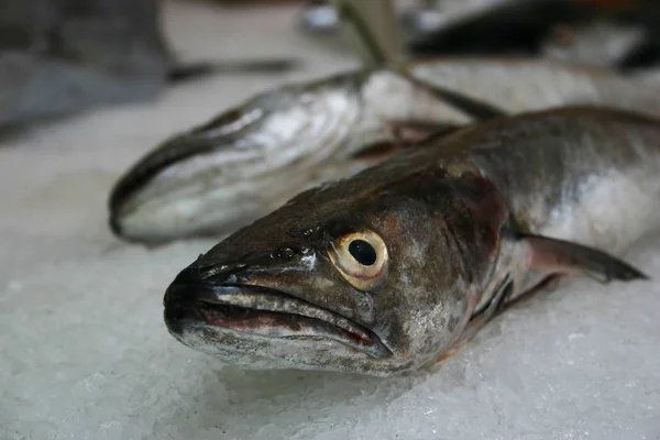 Meeresfrüchte Fischmarkt — Stockfoto