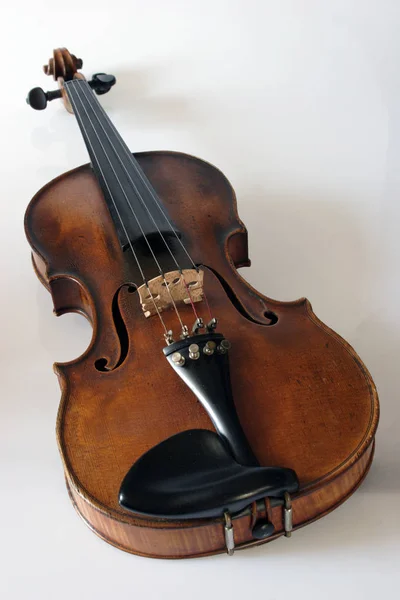Pourrais Emprunter Vieux Violon Cet Instrument Est Fasciné Par Son — Photo