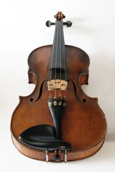 Potrebbe Prendere Prestito Questo Vecchio Violino Musicisti Sono Affascinati Dall — Foto Stock
