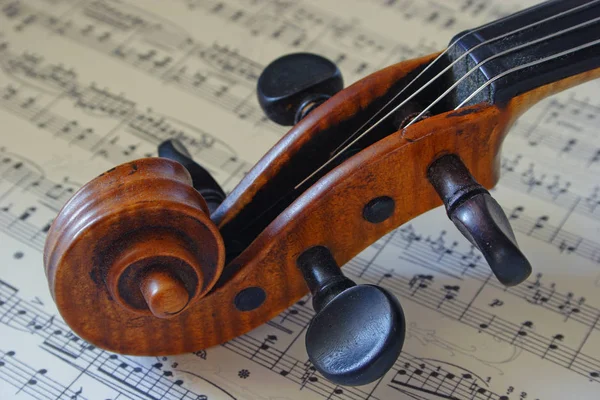 Poderia Emprestar Aquele Violino Velho Estou Fascinado Pela Estética Deste — Fotografia de Stock