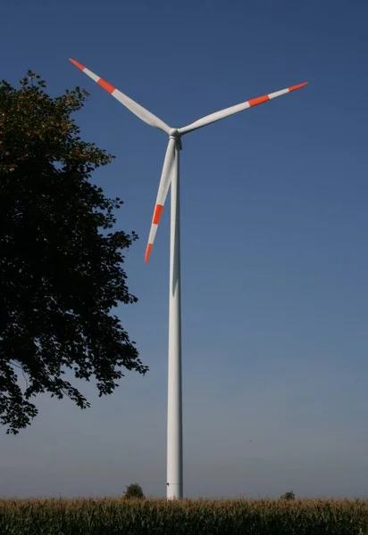 風車や代替電力は — ストック写真
