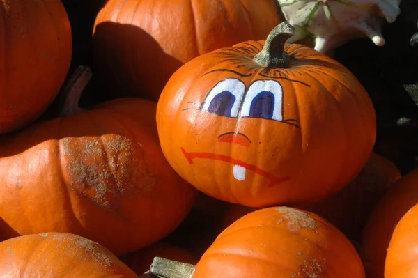 Vendemmia Autunnale Selettiva — Foto Stock