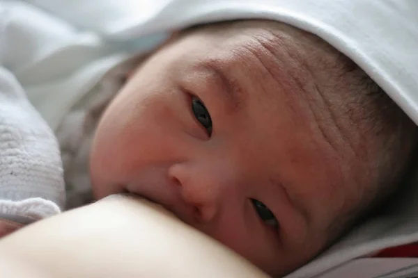 新生児や新生児 — ストック写真