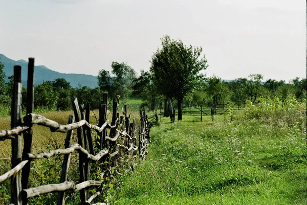 Romanya Transilvanya Nın Ormanlarıyla Tanınan Güneydoğu Avrupa Ülkesidir — Stok fotoğraf