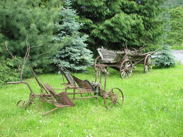 Scenic View Countryside Selective Focus — Stock Photo, Image