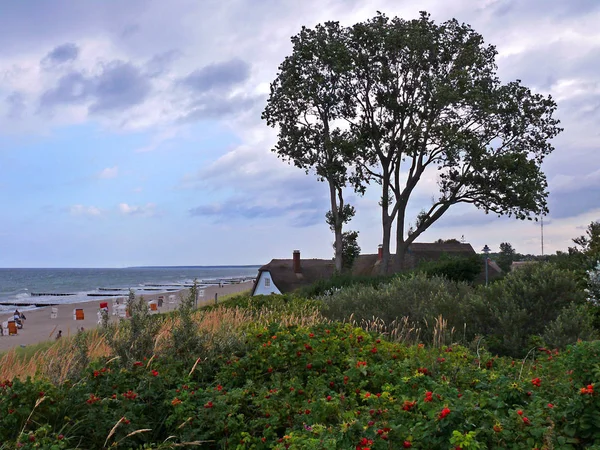 Vacker Utsikt Över Naturen Landskap — Stockfoto