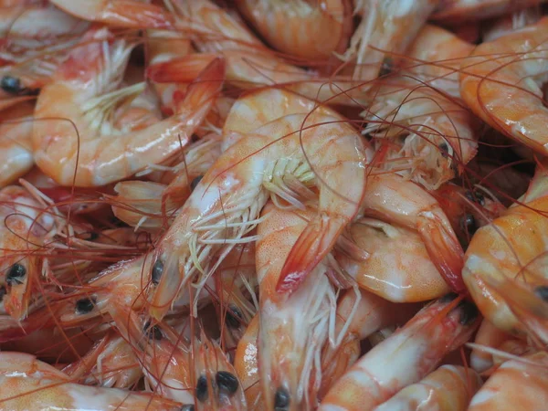 Makanan Laut Makanan Lezat — Stok Foto