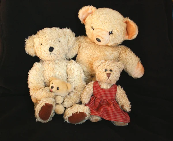 玩具熊和玩具熊 — 图库照片
