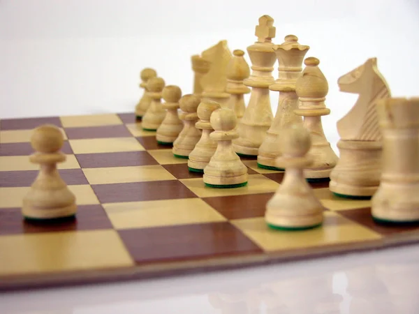 chess figurines, tournament game, table sport