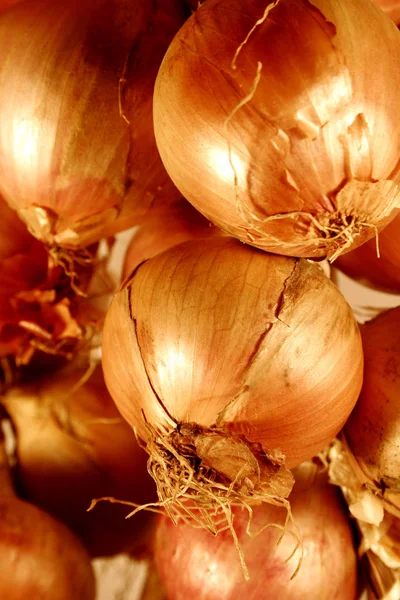 Vegetarisk Mat Selektivt Fokus — Stockfoto