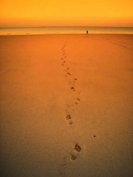 Tracks Het Strand — Stockfoto