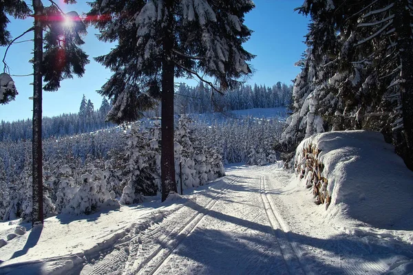 Vista Pitoresca Bela Paisagem Inverno — Fotografia de Stock