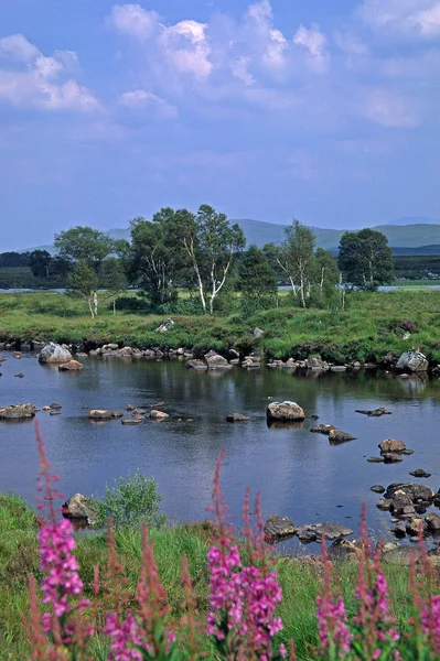 Rannoch Moor Zirvesi Moorlandschaft — Stok fotoğraf