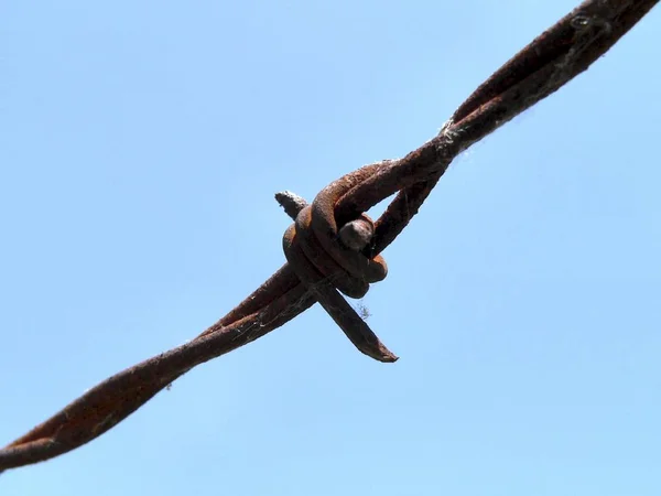 Prikkeldraad Tegen Blauwe Lucht — Stockfoto