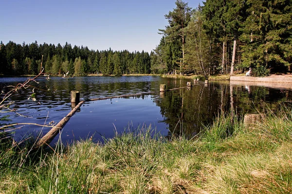 Bavière Est Grand État Allemand Par Superficie Représentant Environ Cinquième — Photo