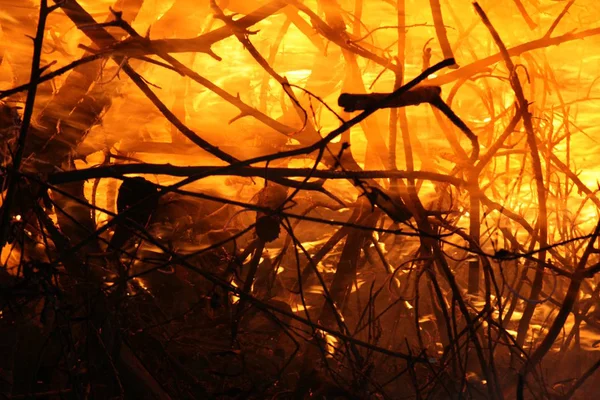 Φλόγα Φωτιάς Φωτιά Καυσόξυλα — Φωτογραφία Αρχείου