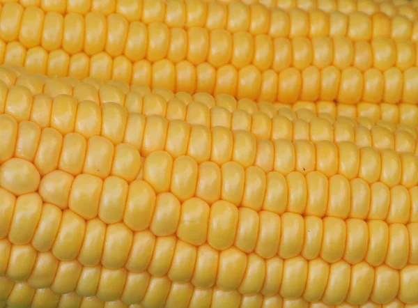 Close Fresh Corn — Stock Photo, Image