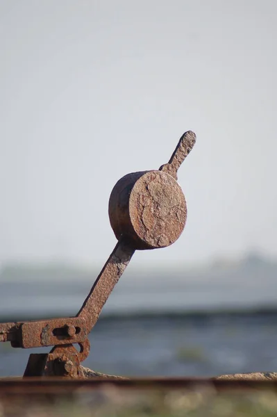 Long Mer Des Wadden — Photo