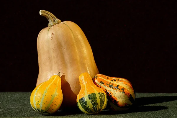 Butternut Kürbis Mit Drei Kleinen — Stockfoto