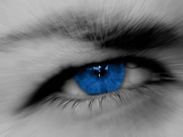 Blue Eye Female Eyes — Stock Photo, Image