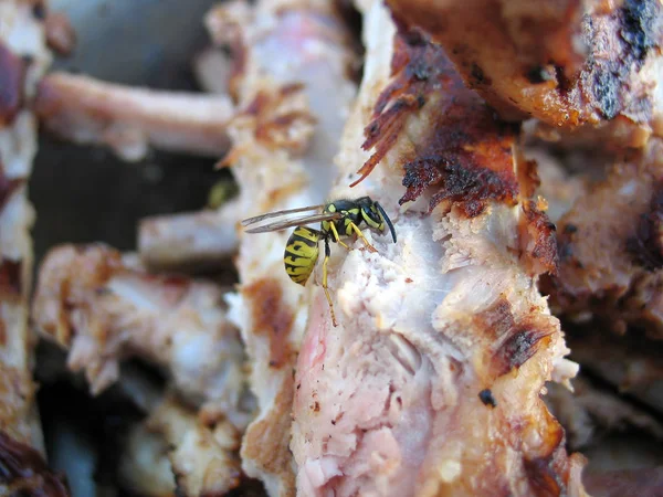 Las Avispas Aman Las Costillas Parrilla — Foto de Stock