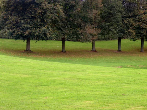 Row Trees Autumn Comes Slowly — Stock Photo, Image