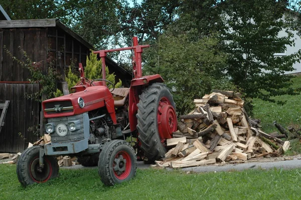 Holz Für Den Winter — Stockfoto