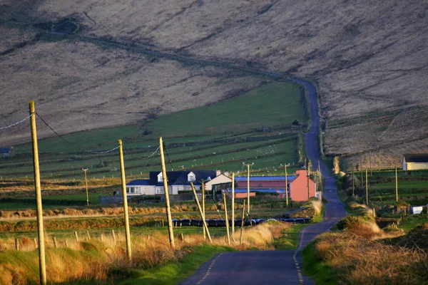 Blick Auf Landschaft Irland — Stockfoto