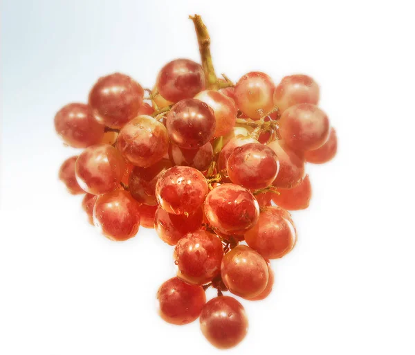 Uvas Suculentas Bagas Frutas Alimentos — Fotografia de Stock