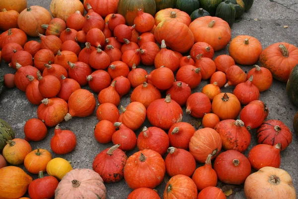 Lebensmittel Konzept Digitale Tapete — Stockfoto