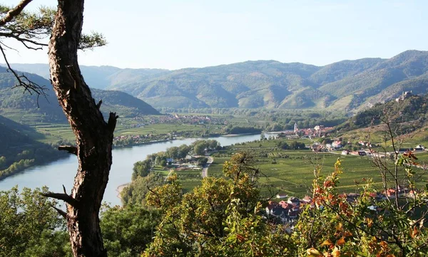 Jour Automne Dans Wachau — Photo